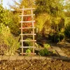 Treillis noisetier en kit - Hauteur : 150 cm (120 cm) - Voir les images du produit 5