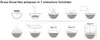 Grow-Grow Nut Starterpaket |  Microgreen Anzuchtsets von Produktbild-Vorschau 18
