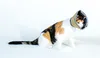 All Four Paws Collier pour chien Comfy Cone S 14 cm brun Voir les images du produit 5