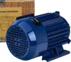 A blue electric motor is shown in front of a wooden box with a diagram of a motor on it. Voir les images du produit