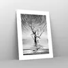 Poster - Poster ohne Rahmen - Schwarzweiß Baum See - 30x40 Produktbild-Vorschau 7