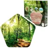 Olymp Nature BOX Produktbild-Vorschau 18