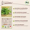 Samenliebe  Petersilie Samen | Gigante di Napoli - Produktbild-Vorschau 3