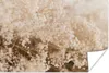MuchoWow® Poster Pampasgras - Pflanze - Natur 120x80 cm - Produktbild-Vorschau 1