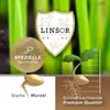 Zauberrasen 1 kg - Rasensamen schnellkeimend Produktbild-Vorschau 4