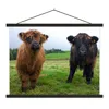 MuchoWow® Textilposter Schottische Highlander - Kühe - Produktbild-Vorschau 1