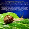 COSRX Advanced Snail Set: 92 All In One Cream + 96 Mucin Produktbild-Vorschau 9