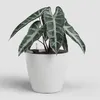Artevasi San Remo Pot Sws, Weiß, 42,3 l, 420 mm, 395 mm, 2 Produktbild-Vorschau 7