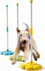 A dog is jumping through agility poles. Voir les images du produit