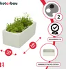 A white rectangular planter filled with green plants, with marketing graphics and text overlays. Produktbild-Vorschau