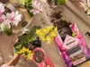 Podłoże Profesjonalne Do Storczyków - Lechuza ORCHIDPON 6 L Podgląd zdjęcia produktu 13
