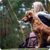 A woman and her dog sitting in a forest with a leather satchel. Produktbild-Vorschau