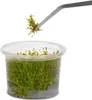 Kruger Meier Rostlinná pinzeta ohnutá - ohnutá pinzeta 48cm Náhled obrázku produktu 5