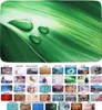 SANILO® Badteppich Green Leaf 70 x 110 cm Produktbild-Vorschau 1
