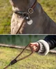 A collage showing a dog's collar and leash, and a hand holding a leash. Anteprima dell’immagine prodotto