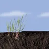 Spezielle Erdbeermulchfolie "Fresafilm" - 1,40 x 10 m - Produktbild-Vorschau 4