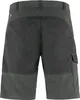 FJÄLLRÄVEN Fjällräven Abisko Shorts Herren grau 54 Produktbild-Vorschau 2