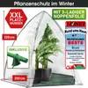 BRAST Überwinterungszelt Foliengewächshaus Mini Gewächshaus Produktbild-Vorschau 9