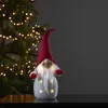 A festive gnome decoration with lights, placed in front of a blurred Christmas tree with lights. Produktbild-Vorschau