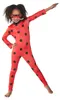Coccinella miracolosa per bambini: 116 Anteprima dell’immagine prodotto 3