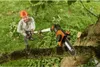 Worx Hochentaster / Teleskop-Kettensäge WG349E.9 20 V Solo Produktbild-Vorschau 10