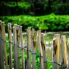 A close-up view of a wooden fence with a blurred green background of foliage and water. Produktbild-Vorschau