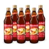 RABENHORST Heißer Apfel-Ingwer   6er Pack (6 x 700 ml) – Produktbild-Vorschau 2