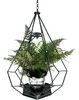 DanDiBo Blumenampel Innen Metall Wand Hängepflanzen 82 cm Produktbild-Vorschau 8