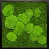 Moosbild 35x35cm 50% Flachmoos/ 50%Kugelmoos (schwarz) Produktbild-Vorschau 2