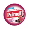 Pulmoll Mixed Berry+Acai+Vit.C o.Z.50g Produktbild-Vorschau 1