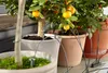 Gardena giardinaggio urbano - Kit di irrigazione per le Anteprima dell’immagine prodotto 12