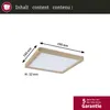 Pannello LED Paulmann Atria Shine Anteprima dell’immagine prodotto 2