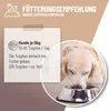 REAVET Magen & Darm Tropfen für Hunde 100ml I Darmsanierung Produktbild-Vorschau 4