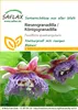 SAFLAX  - Granadilla - 12 semi - Passiflora Anteprima dell’immagine prodotto 8