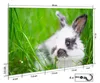Wallario Schlüsselbrett aus Glas, Motiv: Süßer Hase im Produktbild-Vorschau 2