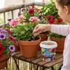 Balkon- & Kübelpflanzendünger COMPO Langzeitdünger mit Produktbild-Vorschau 11