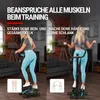 Hop-Sport Stepper HS-055S Noble, swing stepper s LCD Náhled obrázku produktu 5