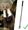alca® antena samochodowa AM FM DAB+ antena dachowa Podgląd zdjęcia produktu 5