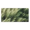 DEQORI Hybrid Leinwand Bild 100x50 cm 'Getreidefeldidylle' Produktbild-Vorschau 2