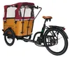Elektrolastenfahrrad Family-Cargo 250W Mittelmotor Produktbild-Vorschau 10