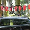 Fahrrad-Hinterradhalterung mit Schnellverschluss fuer Produktbild-Vorschau 9