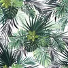 Coloray Fototapete 250x250 cm Latextapete Magicstick - Laub Produktbild-Vorschau 2