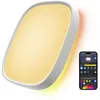 Govee LED-plafondlamp RGBIC, slimme verlichting voor Productafbeelding-voorbeeld 4