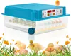 Incubatrice completamente automatica Izrielar 64 uova – Anteprima dell’immagine prodotto 9