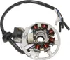 LICHTMASCHINE STATOR 6 KABLE ZÜNDUNG für Sachs SPEEDFORCE R Produktbild-Vorschau 1
