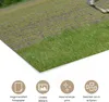 MuchoWow® Poster Pferde - Natur - Weiß 90x60 cm - Produktbild-Vorschau 3
