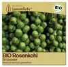 Samenliebe  Rosenkohl Samen | Brüsseler Rosenkohl - Produktbild-Vorschau 1