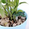 Gardlov 22586 Pflanzenklammern, 108 Stück Produktbild-Vorschau 16