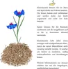 Kornblumen Samen (Centaurea cyanus) - Wunderschön Produktbild-Vorschau 6
