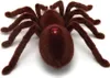 Ferngesteuerte Spinne – Realistische Bewegung | 15 cm Länge Produktbild-Vorschau 4
